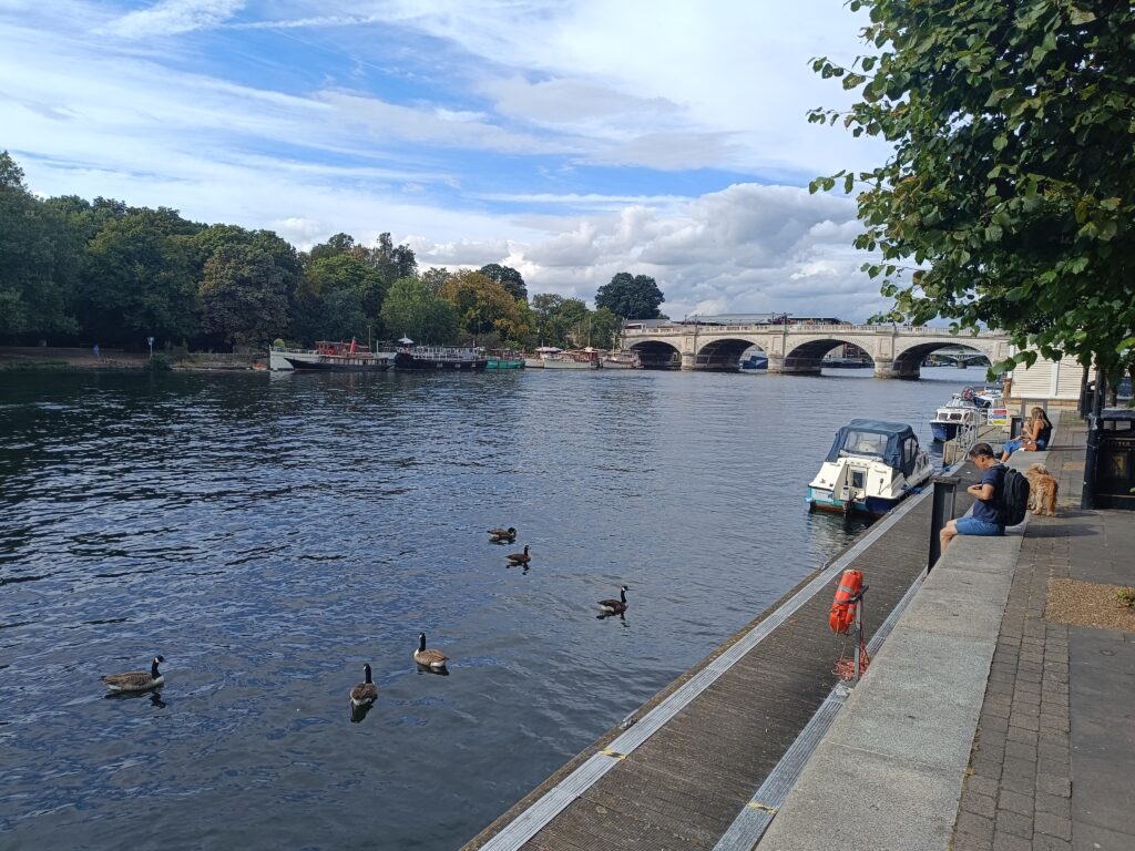 Our Kingston area guide includes a Thames walk